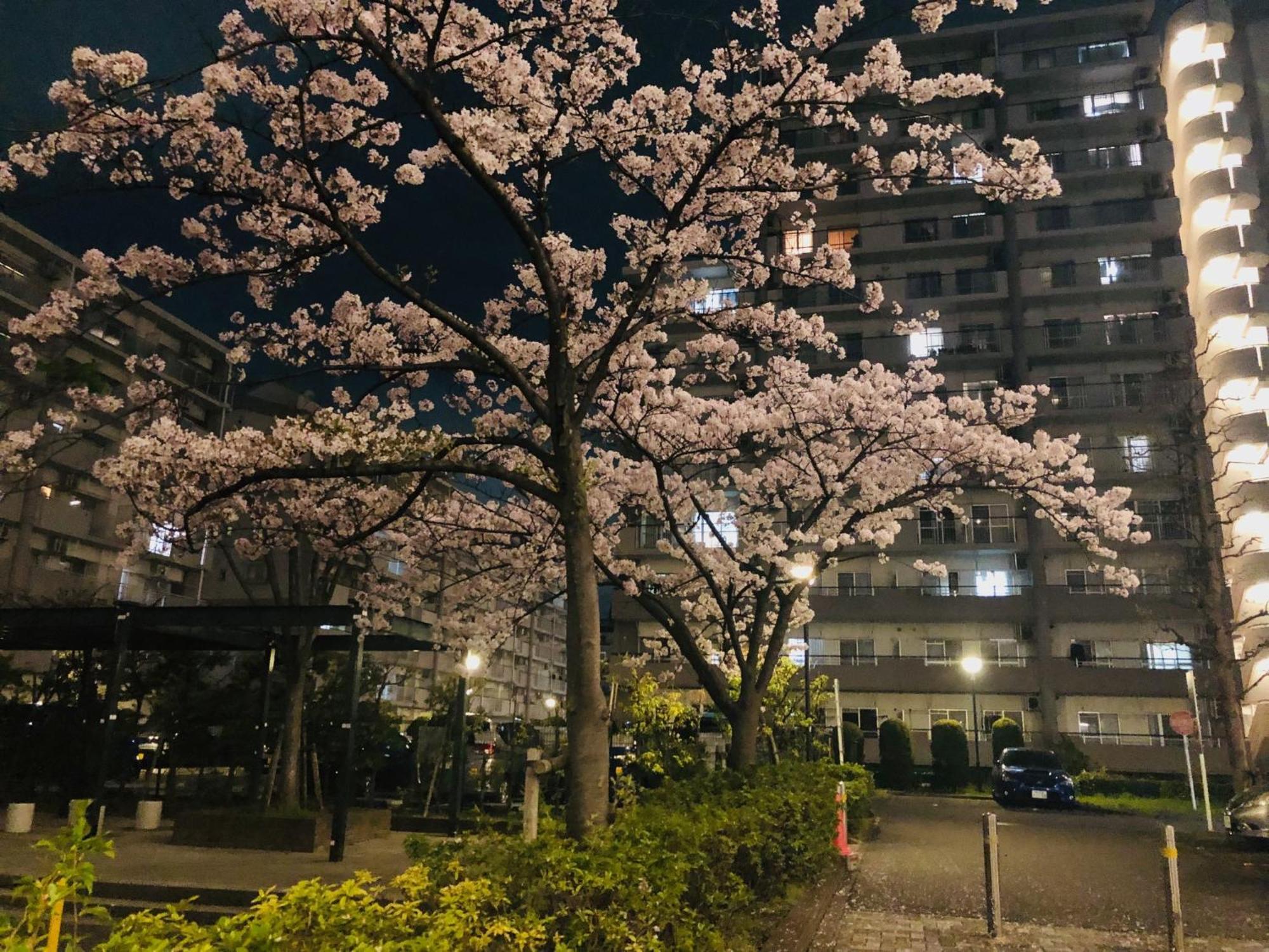 Jl 東京 House - 駐車場付き築浅のまるごと貸切住宅 Tokyo Eksteriør bilde