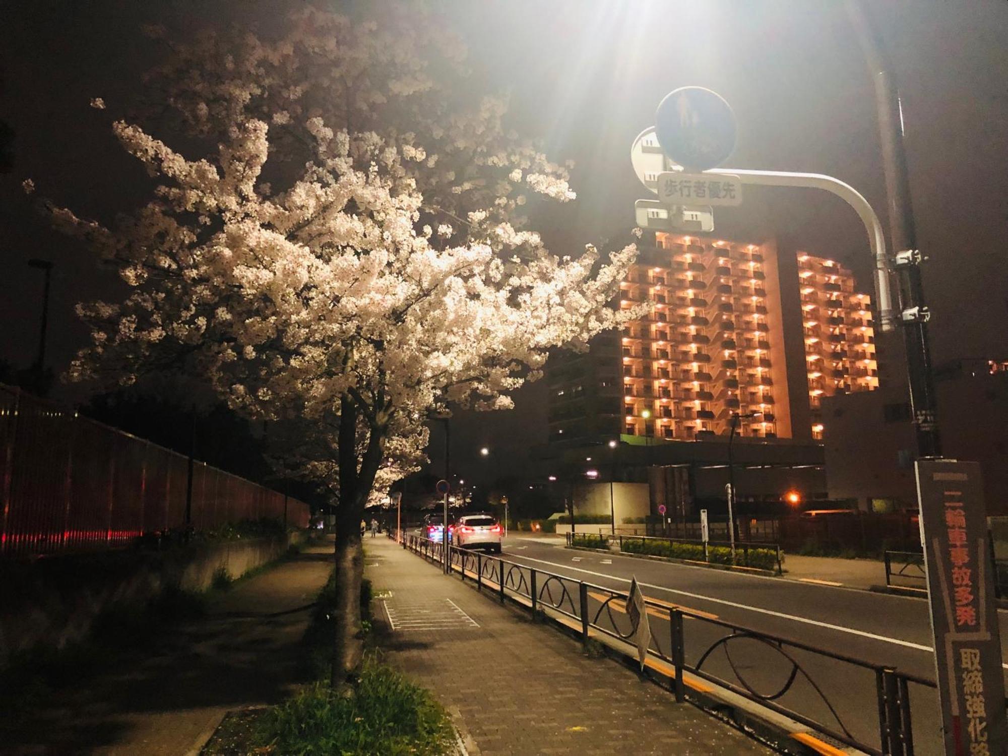 Jl 東京 House - 駐車場付き築浅のまるごと貸切住宅 Tokyo Eksteriør bilde